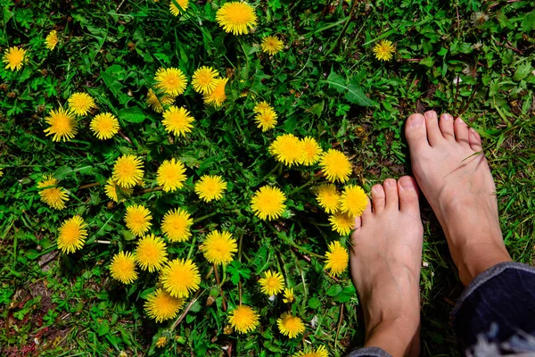 Bare γυναικεία πόδια στο γρασίδι με κίτρινες πικραλίδες — Φωτογραφία Αρχείου