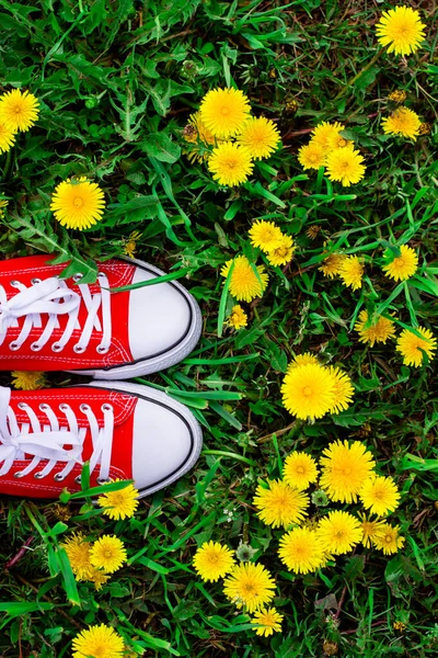 Женские ноги в красных кроссовках стоят на траве с растущими одуванчиками — стоковое фото