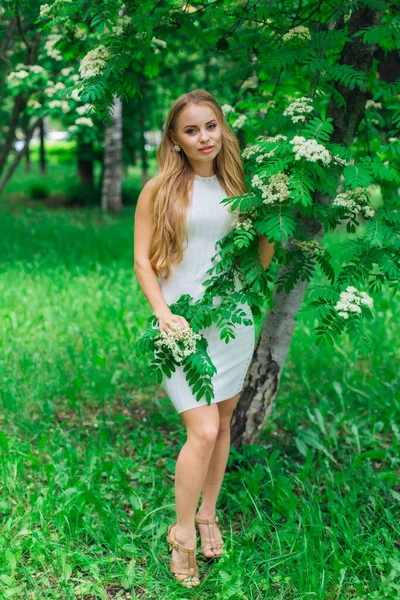 Retrato de una encantadora mujer rubia con hermoso vestido blanco de pie junto al rowan tree con flores blancas . — Foto de Stock