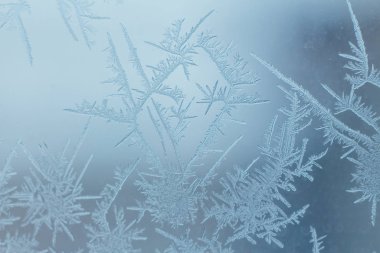 Frosty ice patterns on the window glass.