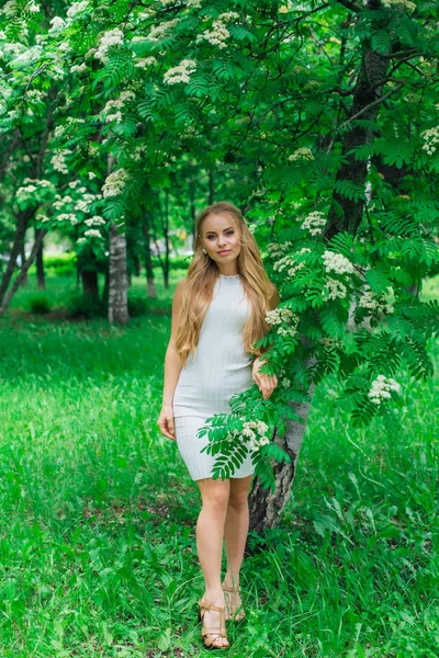 Портрет чарівної блондинки в красивій білій сукні, що стоїть поруч з королівським деревом з білими квітами . — стокове фото