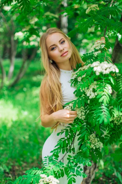 Retrato de uma mulher loira encantadora vestindo belo vestido branco em pé ao lado de Rowan árvore com flores brancas . — Fotografia de Stock
