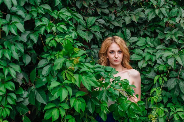 Retrato de uma jovem mulher bonita, de pé ao lado da parede de folhas de uva selvagem . — Fotografia de Stock
