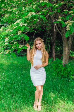 Güzel beyaz elbiseler giyen çekici bir sarışının bahar portresi çiçek açan kürek ağacının yanında beyaz çiçeklerle duruyor..