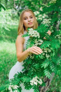 Güzel beyaz elbiseler giyen çekici bir sarışının bahar portresi çiçek açan kürek ağacının yanında beyaz çiçeklerle duruyor..