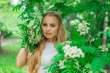 Güzel beyaz elbiseler giyen çekici bir sarışının bahar portresi çiçek açan kürek ağacının yanında beyaz çiçeklerle duruyor..