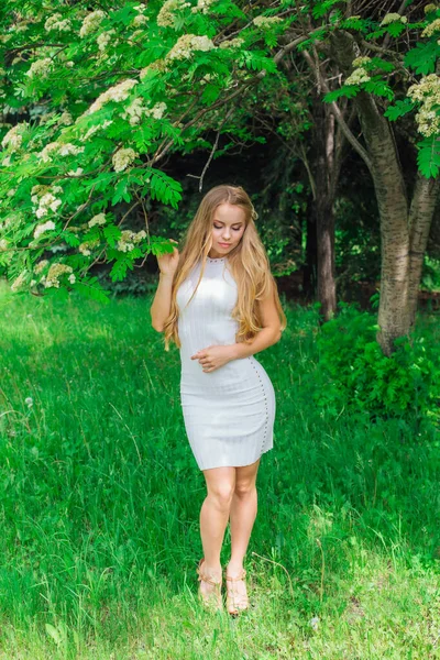 美丽的金发女子 身穿漂亮的白色连衣裙 站在盛开的树旁边 开着白花 春色的肖像 — 图库照片