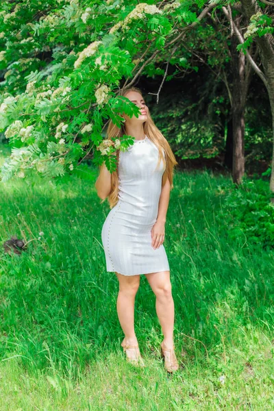 Портрет чарівної блондинки в красивій білій сукні, що стоїть поруч з королівським деревом з білими квітами . — стокове фото