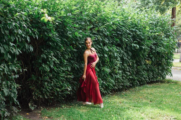 Woman ballerina in red ballet dress dancing in pointe shoes in autumn park next to the wall of bushes. Ballerina standing in beautiful ballet pose