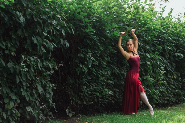 Woman ballerina in red ballet dress dancing in pointe shoes in autumn park next to the wall of bushes. Ballerina standing in beautiful ballet pose