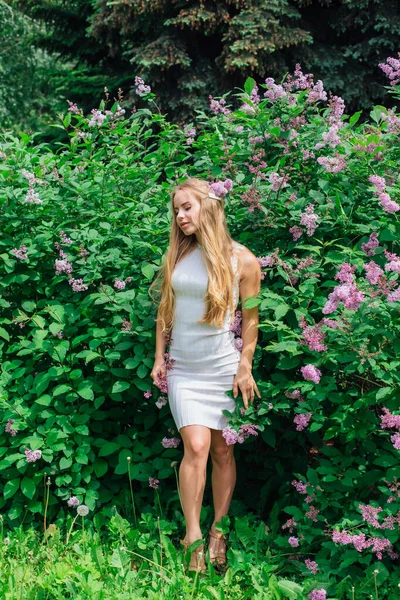 春天的肖像 一个迷人的金发女郎穿着美丽的白色礼服站在盛开的紫色丁香树丛旁边 — 图库照片