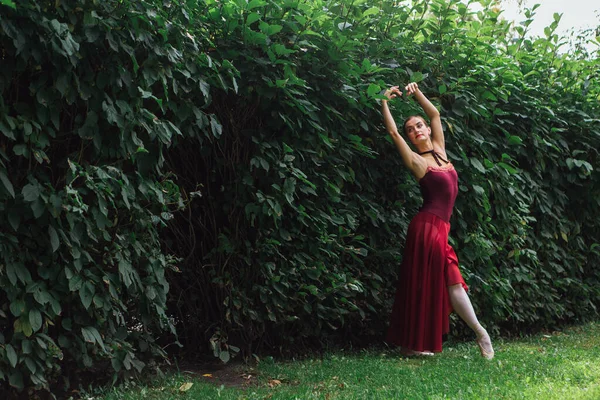 Woman ballerina in red ballet dress dancing in pointe shoes in autumn park next to the wall of bushes. Ballerina standing in beautiful ballet pose