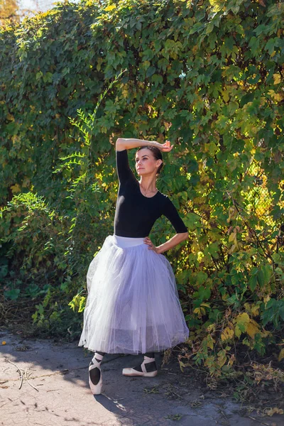 Ballerine Femme Jupe Ballet Blanche Dansant Pointes Dans Parc Automne — Photo