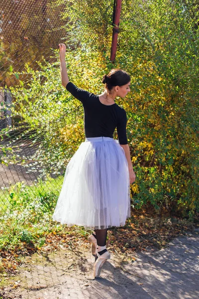 Vrouwelijke Ballerina Een Witte Balletrok Dansend Puntschoenen Naast Een Rabitz — Stockfoto