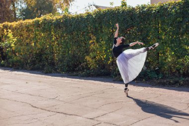 Beyaz etekli kadın balerin altın bir sonbahar parkında sivri ayakkabılarla dans ediyor. Balerin güzel bir bale pozisyonunda duruyor.