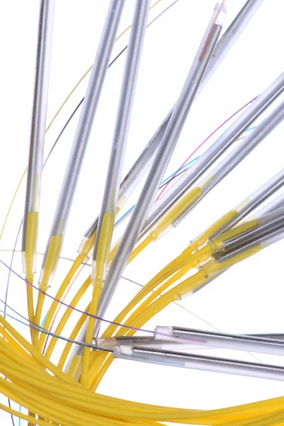 Red de fibra cables de red óptica amarilla — Foto de Stock