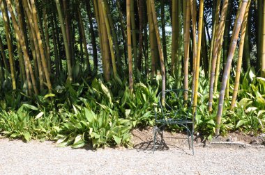 Bambu Bahçe boş sandalye ile