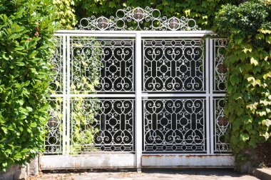 Çelik kapı ve yeşil bitki