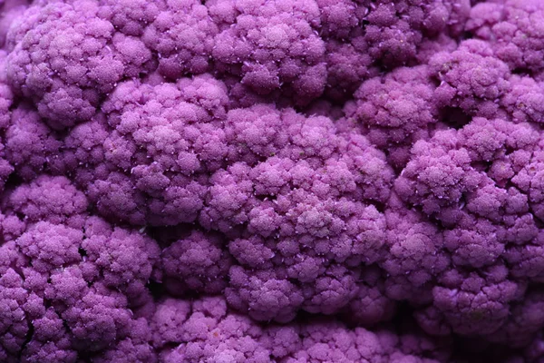 Purple cauliflower closeup — Stock Photo, Image