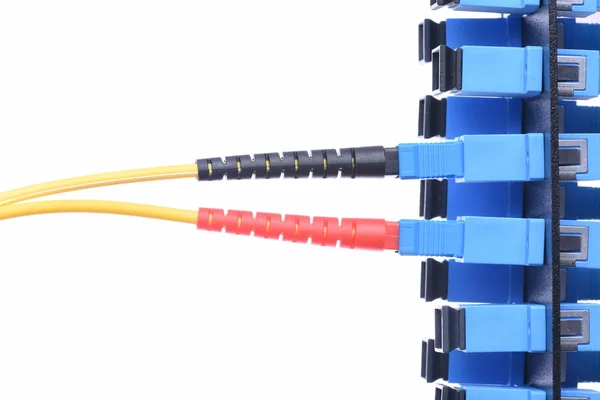 Fiber optical network cable with optical distribution frame — Stock Photo, Image