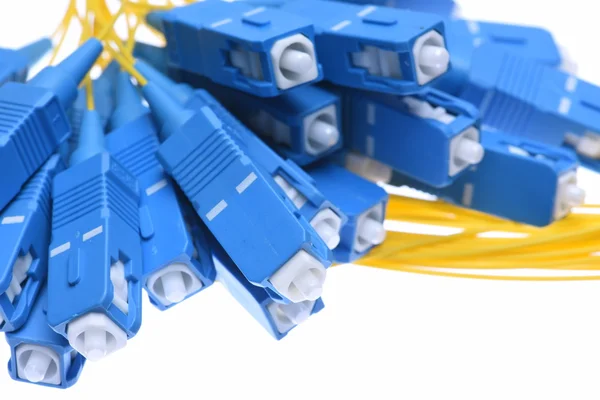 Fiber cables sc connectors closeup — Stock Photo, Image