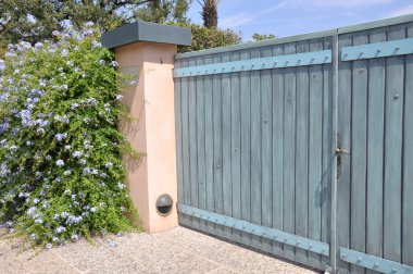 Yeşil bush ile ahşap kapı