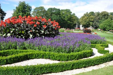Mavi gökyüzü ile Bahçe çiçek