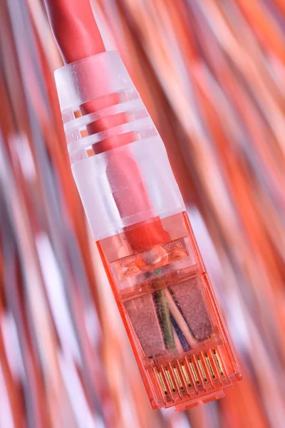 Počítače síťový kabel se zástrčkou — Stock fotografie