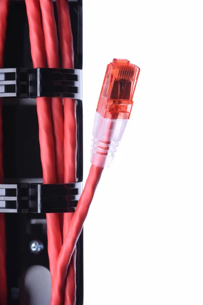 Computer Network Cables — Stock Photo, Image