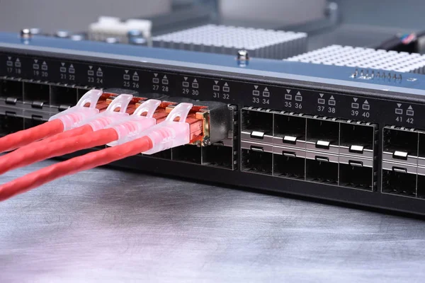 Appareils technologiques Commutateur réseau avec câbles Ethernet — Photo