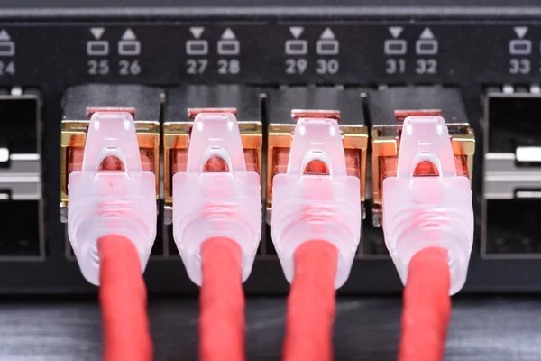 Technologie zařízení, síťový přepínač s kabely patch kabel — Stock fotografie