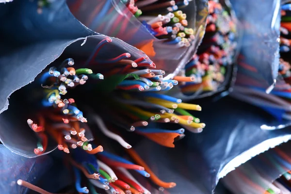 Цветные медные телекоммуникационные кабели — стоковое фото