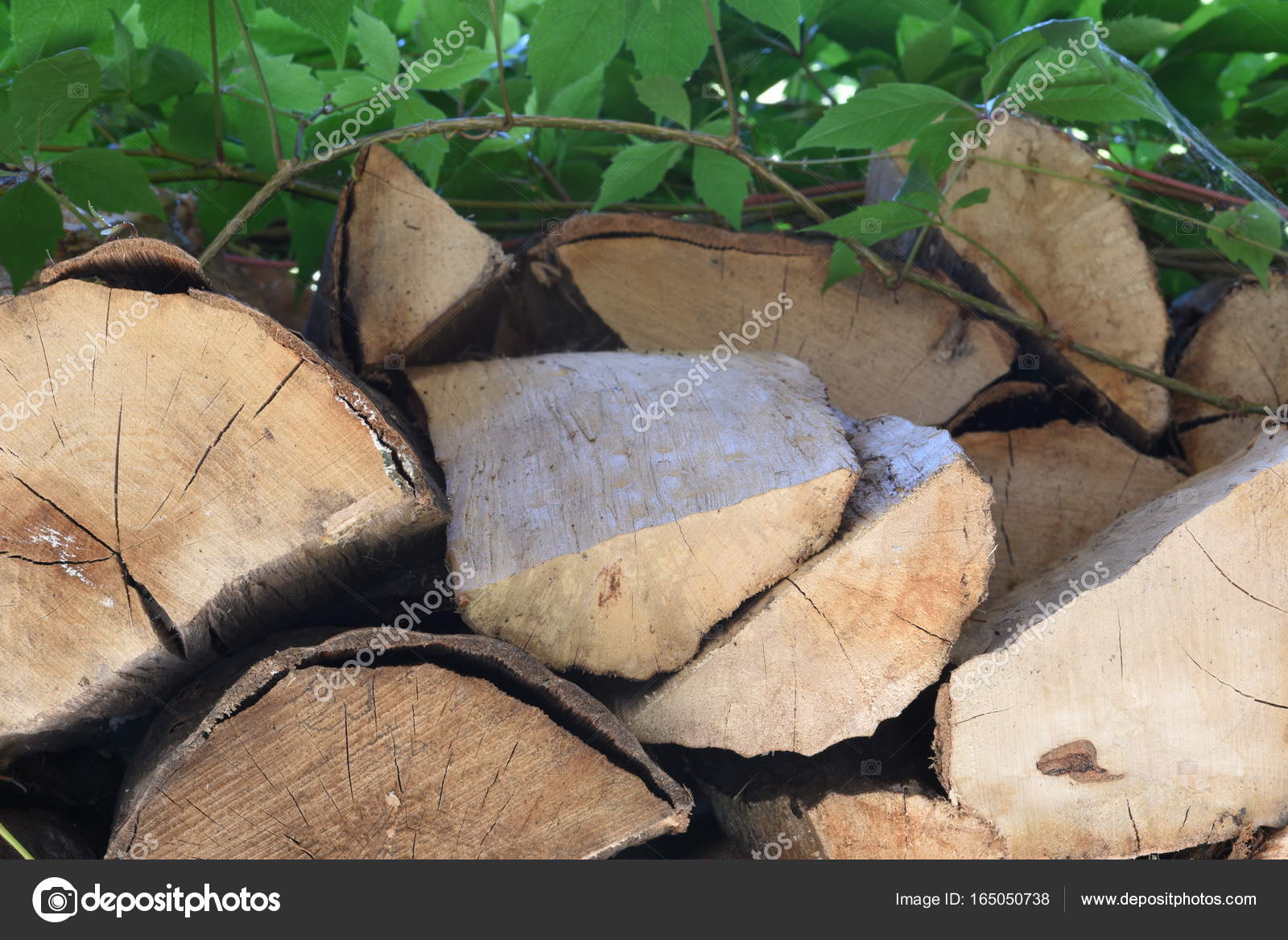 Stack Wood Fireplace Overgrown Green Ivy Stock Photo C Zetor2010