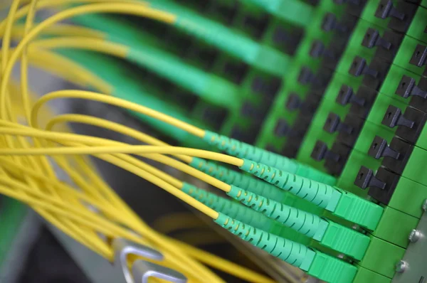 Glasfaser Netzwerkpanel Mit Patchkabel — Stockfoto