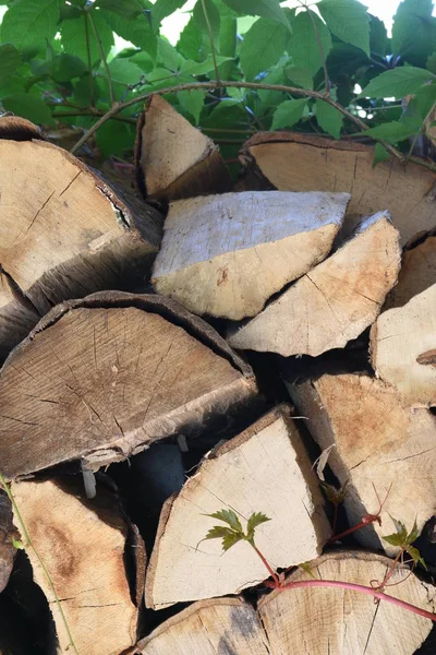 Stack Wood Fireplace Overgrown Green Ivy — Stock Photo, Image