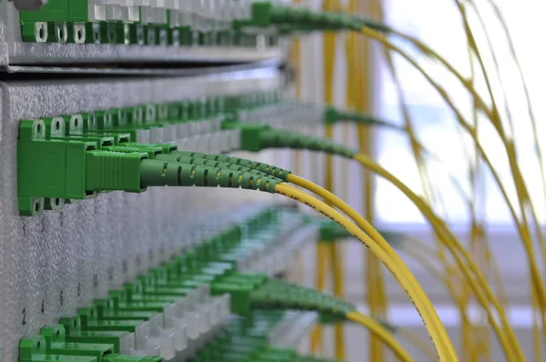 Optical distribution panels with fiber cables — Stock Photo, Image