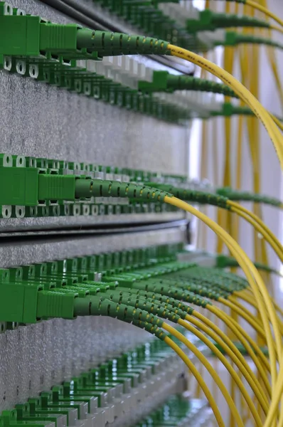 Paneles de distribución óptica con cables de fibra —  Fotos de Stock