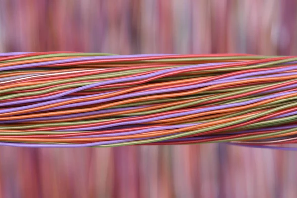 Closeup of cable in computer network systems