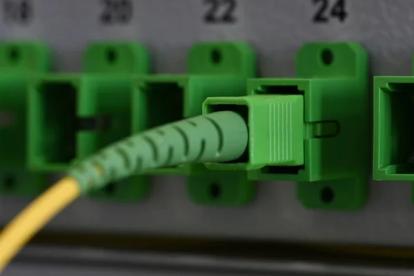 Painel de rede de fibra óptica com patchcords — Fotografia de Stock