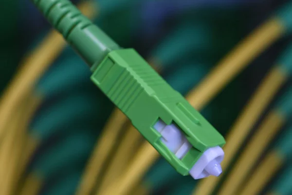 Optical fiber connector and distribution frame panel — Stock Photo, Image