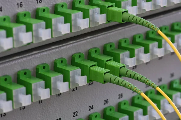 Optik dağıtım panelleri fiber kablolar, pasif optik ağ ile