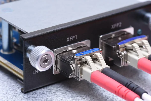 Cabos de fibra óptica conectados ao conversor de interface gigabit — Fotografia de Stock