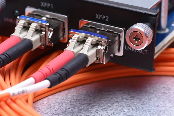 Cabos de fibra óptica conectados ao conversor de interface gigabit — Fotografia de Stock