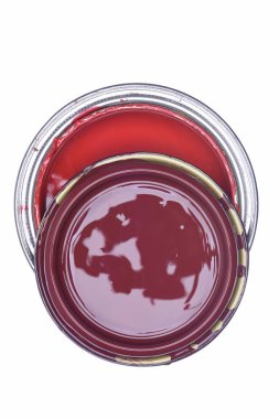 Doğrudan izole üzerinde beyaz arka plan boya olabilir 