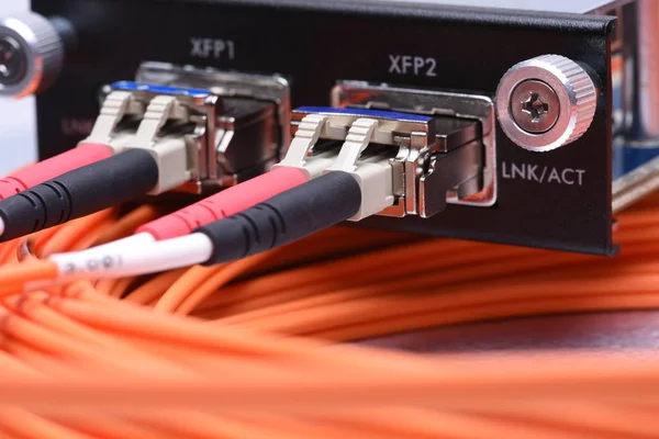 Nätverk Optisk Fiberkablar Anslutna Till Gigabit Gränssnitt Omvandlare — Stockfoto