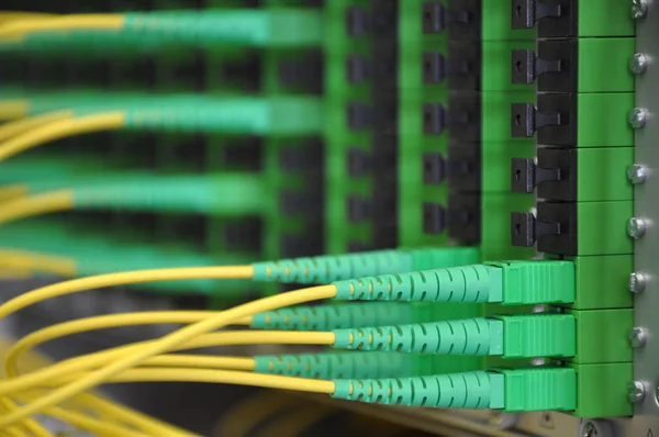 Panel de fibra óptica con cable de conexión —  Fotos de Stock