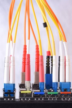 Cybersecurity veri merkezindeki geçiş bağlı optik fiber yama halatlar kablolar, bilgi teknolojisi ile