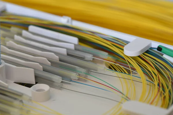 Splicing Fibers Spice Tray Closeup — Stock Photo, Image