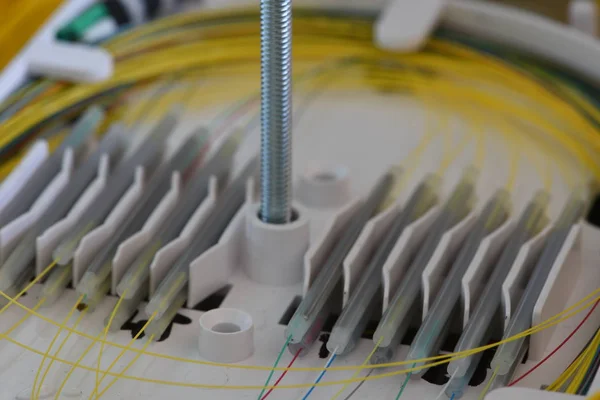 Splicing Fibers Spice Tray Closeup — Stock Photo, Image