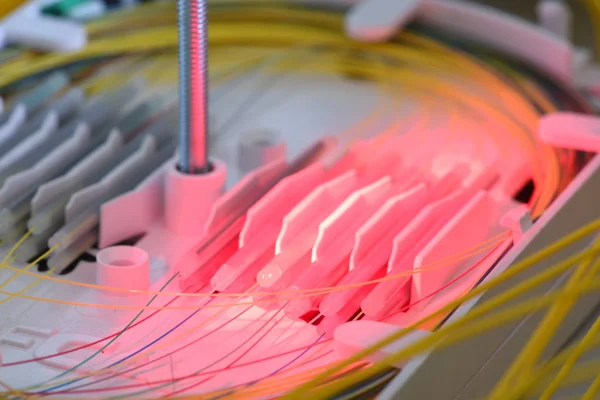 Splicing Fibers Spice Tray Red Laser Light Closeup — Stock Photo, Image